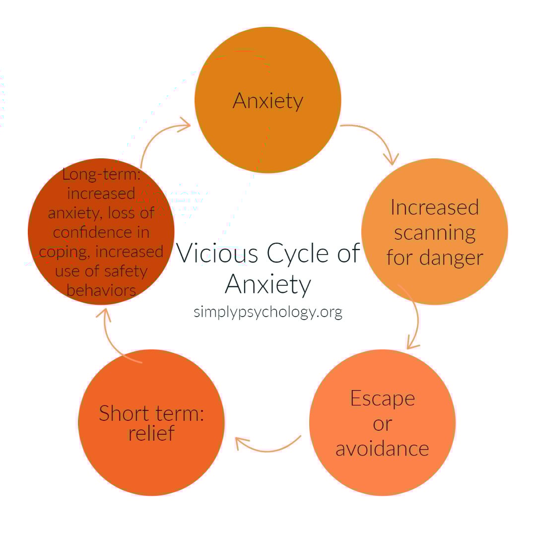 vicious cycle of anxiety-1 the vicious cycle of anxiety