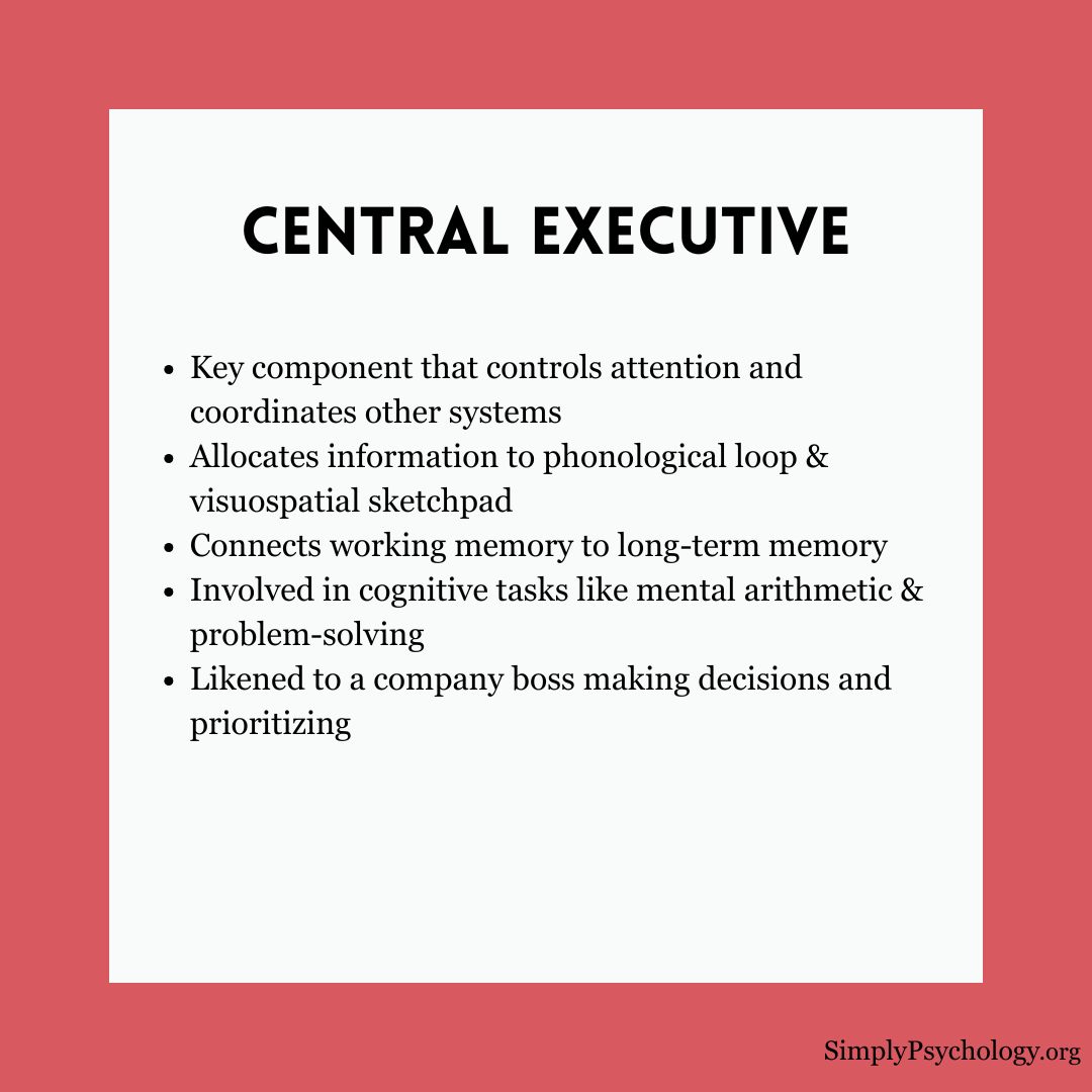 working-memory-model (2) working memory model 2