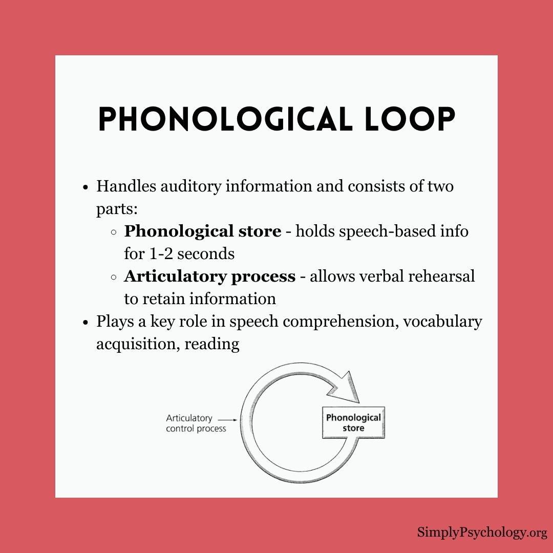 working-memory-model (3) working memory model 3