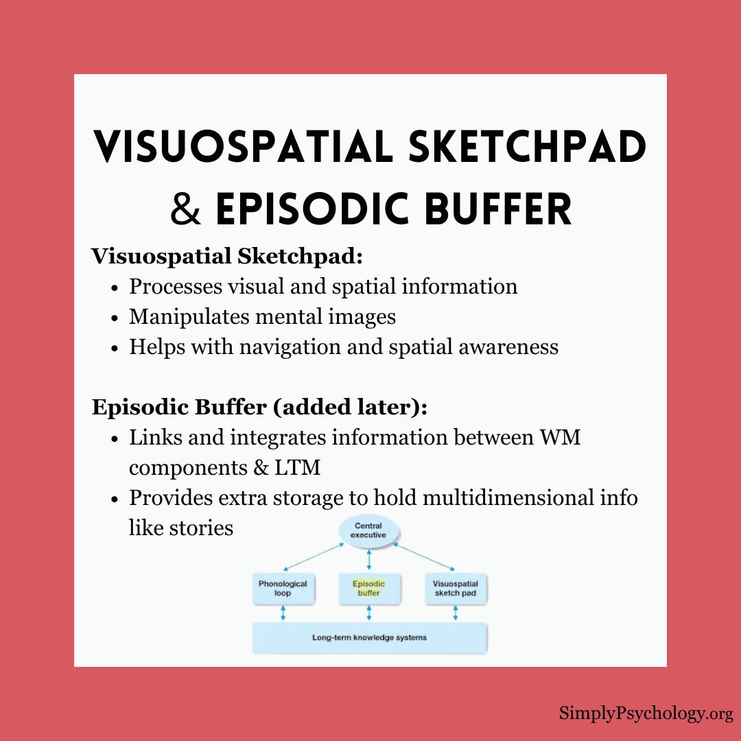 working-memory-model (5) working memory model 5