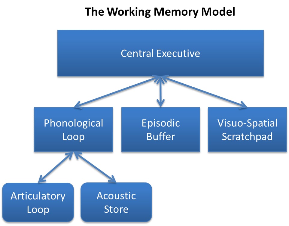 working-memory working memory