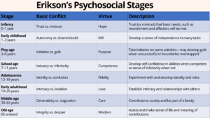 Erik Erikson's Stages of Psychosocial Development 22 psychosocial stages 1